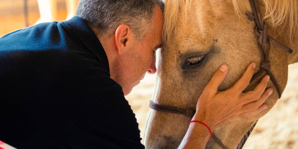 Manager con cavallo
