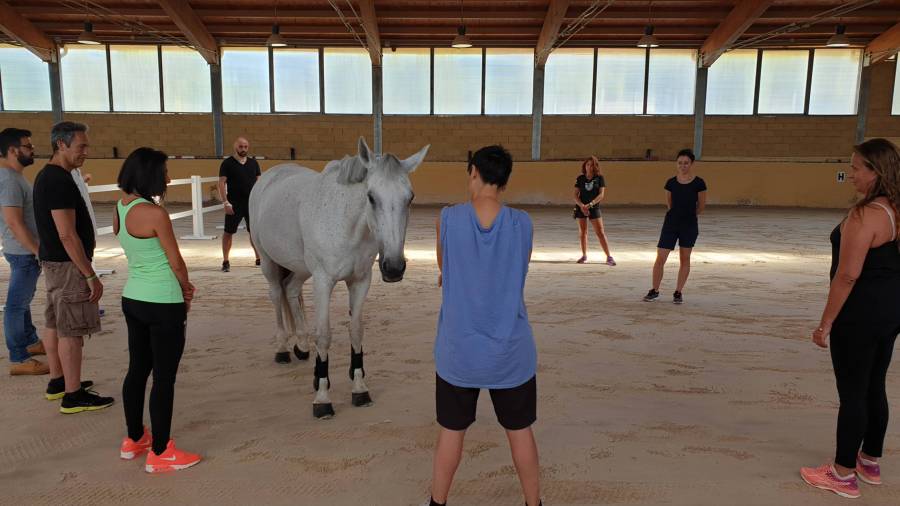 equi experience